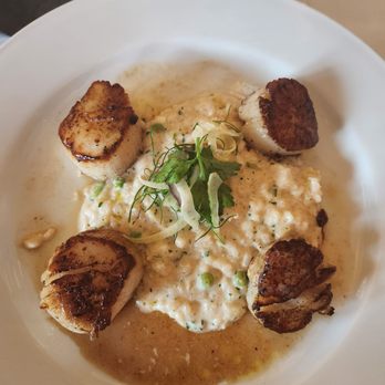 Ocean Prime - Sea Scallops with Risotto Rice with Peas - Seafood Near Me - Tampa, Florida Ocean Prime - Sea Scallops with Risotto Rice with Peas - Seafood Near Me - Tampa, Florida
