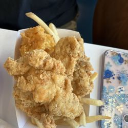 Moby Dick Seafood Jeffersonville - Chicken and fries