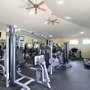 Photo of Equilibrium Fitness