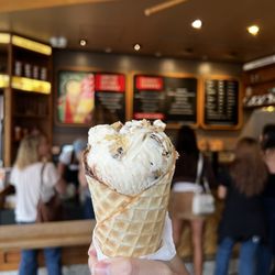 Salt & Straw - Salted, Malted, Chocolate Chip Cookie Dough