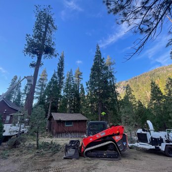 Sindelar Tree Service - Tree Services Near Me Sindelar Tree Service - Tree Services Near Me