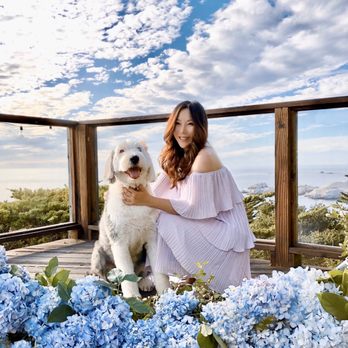 Namast'ay Dog Spa - Pet Groomers Near Me - Belmont , California