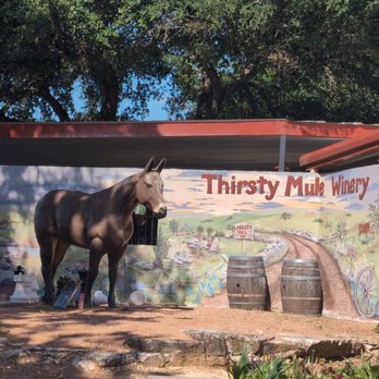 Thirsty Mule Winery - Wineries Near Me - Liberty Hill, Texas Thirsty Mule Winery - Wineries Near Me - Liberty Hill, Texas