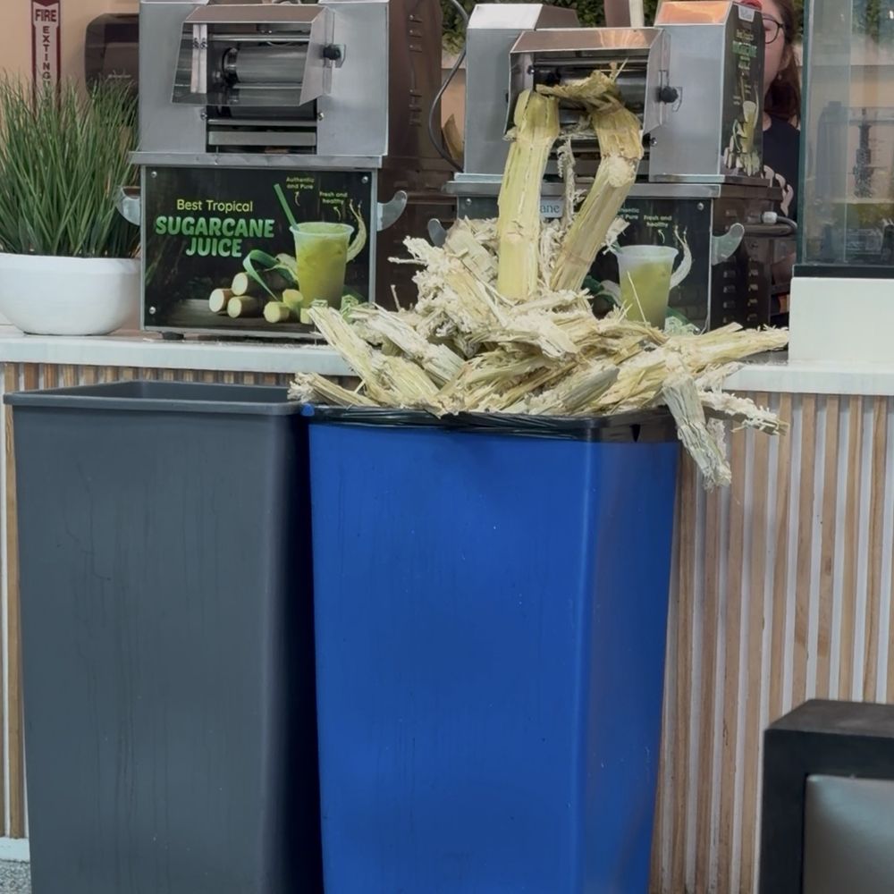 Sugar cane juice