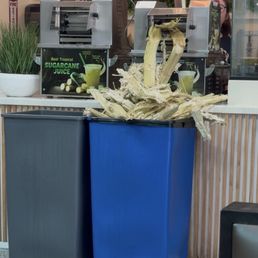 Sugar cane juice Sugar cane juice