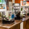 Texas Discovery Gardens gift card