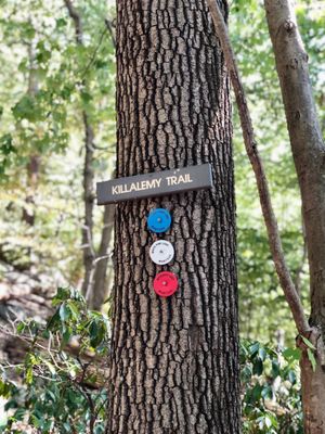 MANITOGA / The Russel Wright Design Center by null