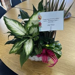 Photo of the arrangement. Photo of the arrangement.
