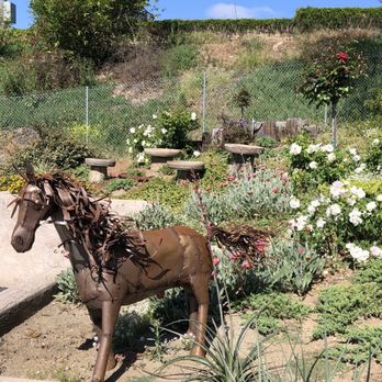 Hunter's Nursery - Pony - Nurseries & Gardening Near Me - Lemon Grove, California Hunter's Nursery - Pony - Nurseries & Gardening Near Me - Lemon Grove, California