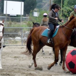 Let's Ride Equestrian Therapy Programs