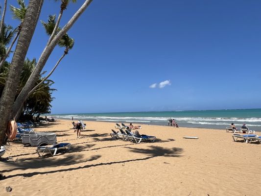 Wyndham Grand Rio Mar Rainforest Beach and Golf Resort by null