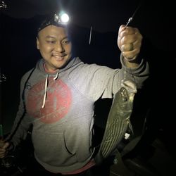 Hooked On Stripers - Striped Bass, Fishing, At Night