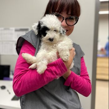 Urban Veterinary Associates - Veterinarians Near Me - Westmont, Illinois Urban Veterinary Associates - Veterinarians Near Me - Westmont, Illinois