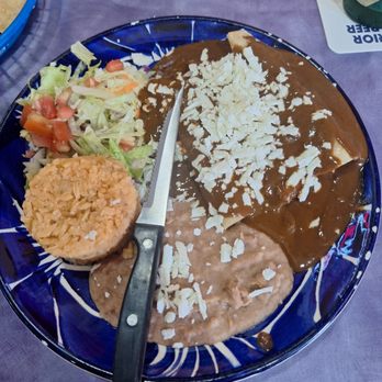 La Nueva Frontera Mexican Grill - The cheese enmoladas were so good, the mole was just spicy enough and the rice and beans were also good. - New Mexican Cuisine Near Me - Olmito, Texas