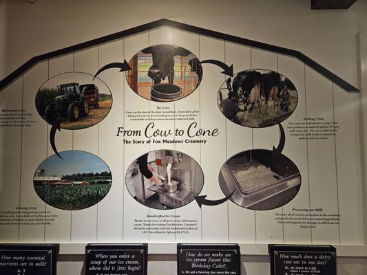 Fox Meadows Creamery by null
