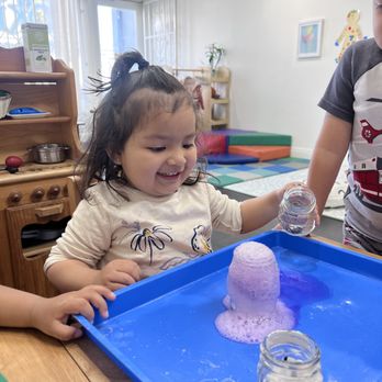 Pine Tree Preschool - Science Activity - Child Care & Day Care Near Me - Los Angeles, California Pine Tree Preschool - Science Activity - Child Care & Day Care Near Me - Los Angeles, California