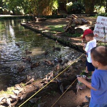 Moanalua Gardens - Parks Near Me - Honolulu, Hawaii
