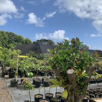 Frankie's Nursery - Nurseries & Gardening Near Me - Waimanalo, Hawaii