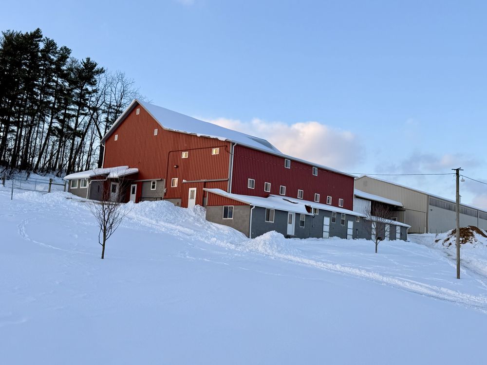 Social spots from Twilight Farms