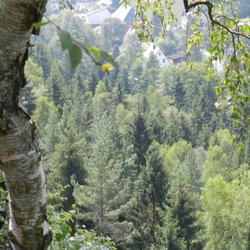 Gemeinde Rosenthal-Bielatal - Blick über die Bäume ins Tal