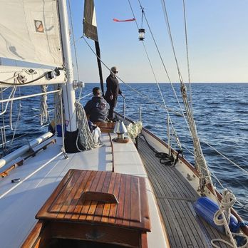 Pura Vida Sailing Charters - Sailing Near Me - Oceanside, California Pura Vida Sailing Charters - Sailing Near Me - Oceanside, California