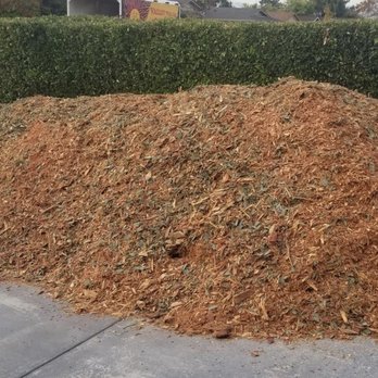 JC Tree Experts - Tree Services Near Me JC Tree Experts - Tree Services Near Me