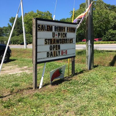Salem Berry Farm by null