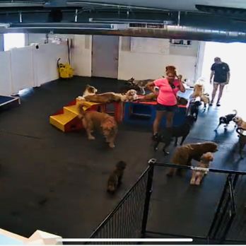 Camp Run-A-Mutt Columbus - Pet Boarding Near Me - Lewis Center, Ohio