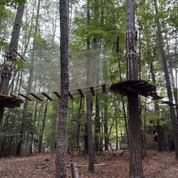 Go Ape Zipline & Adventure Park