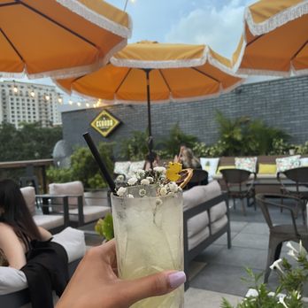 Cebada Rooftop - Wine Bars Near Me - Coral Gables, Florida