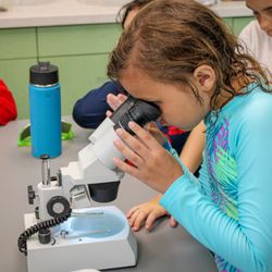 Sanibel Sea School