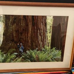 Canvas Plus Digital Imaging - A print from canvas plus
