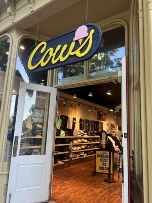 COWS Niagara-On-The-Lake by null