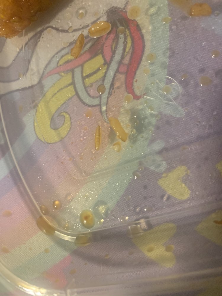 CHOPSTICK HOUSE Updated September 2024 10 Reviews 2798 Robinson