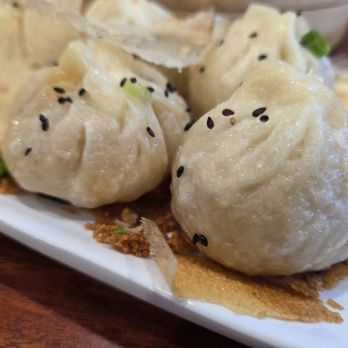 Mr Noodle - Pan Fried Dumplings close-up - Noodles Near Me - Corona, California