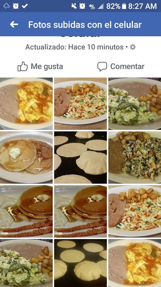 EL Carrizal mexican grill