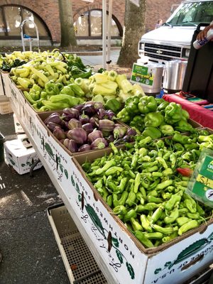 Lake City Farmers Market by null