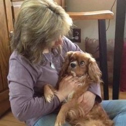 Jaspers Healing Touch Reiki - We cannot see pets at our Kingston location. Will make house calls for pets. Call or text to schedule an appointment for your pet.