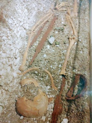 Dover Museum and Bronze Age Boat Gallery by null