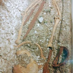 Dover Museum and Bronze Boat Museum - Anglo-Saxon A.D. 575-625 buried with his sword, knife, spear, shield and belt close to a prehistoric burial mound