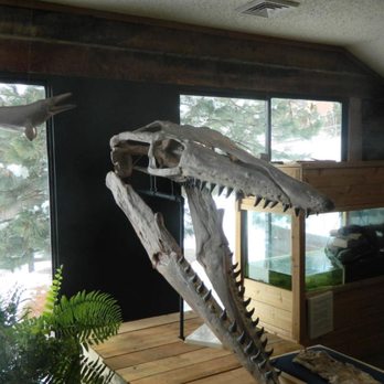 Morrison Natural History Museum - Museums Near Me - Morrison, Colorado Morrison Natural History Museum - Museums Near Me - Morrison, Colorado