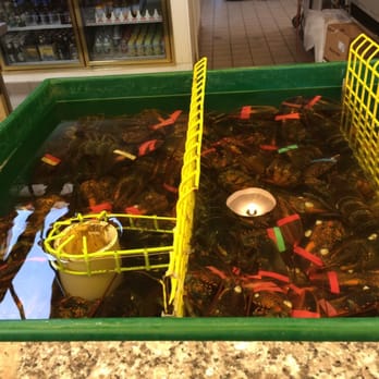 Thurston's Lobster Pound - Pick your lobster. - Seafood Near Me - Bernard, Maine