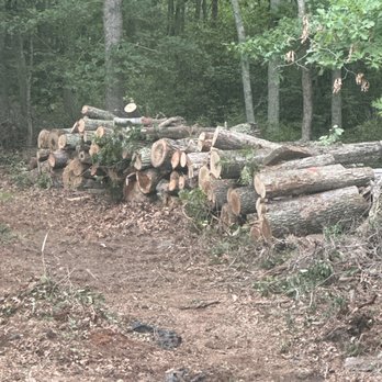 Anthony Landscaping & Tree Service - Tree Services Near Me Anthony Landscaping & Tree Service - Tree Services Near Me