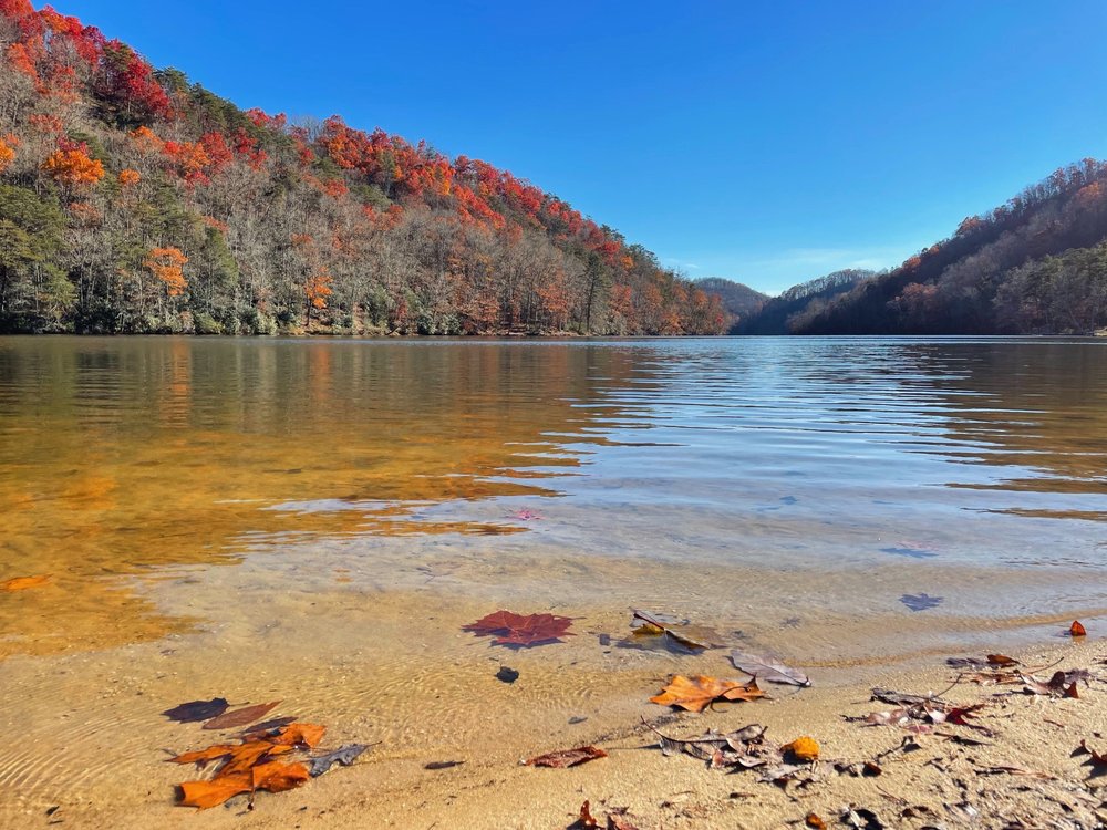 HUNGRY MOTHER STATE PARK 95 Photos & 21 Reviews 2854 Park Blvd