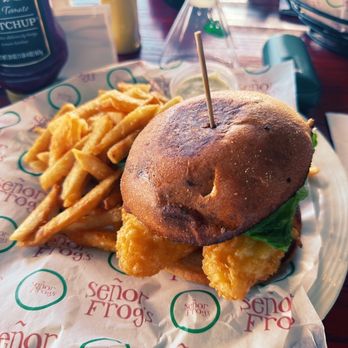 Senor Frogs - Seafood Near Me