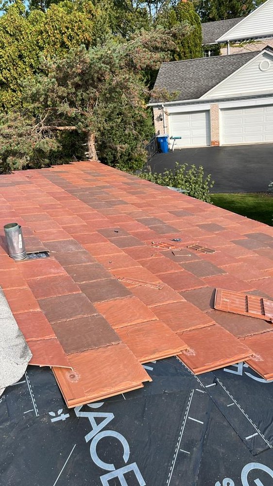 Slide of BZ Bee Construction