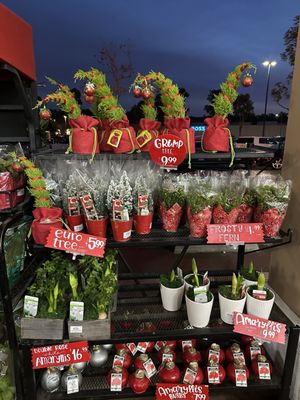 Trader Joe's by null