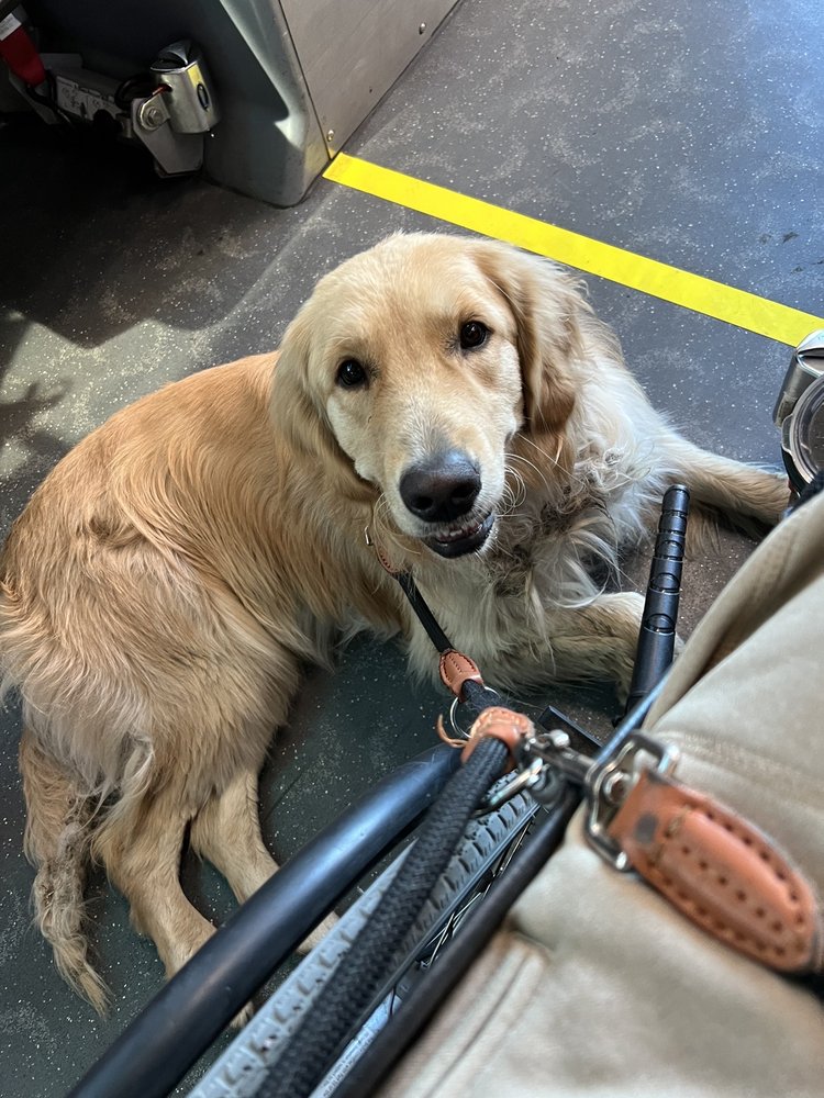 o Jupiter Florida Real Estate For Sale