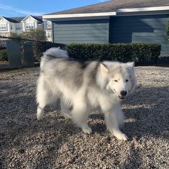A Glawmorous Pet Pawlor - Pet Groomers Near Me - chesapeake, Virginia A Glawmorous Pet Pawlor - Pet Groomers Near Me - chesapeake, Virginia