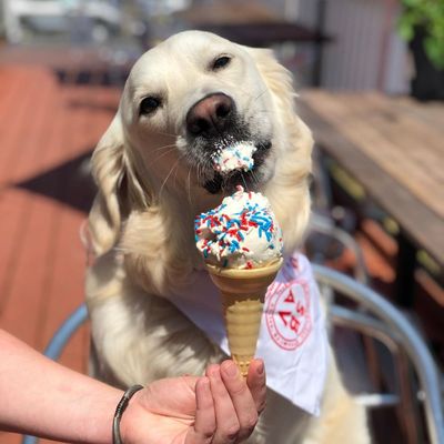 Sundae Best Boardwalk Cafe by null